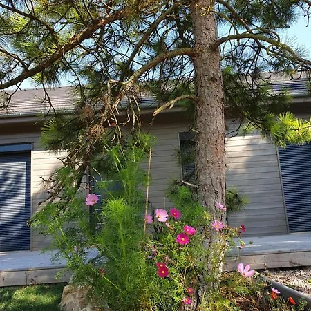 Cosy Wood House Bed & Breakfast 3*