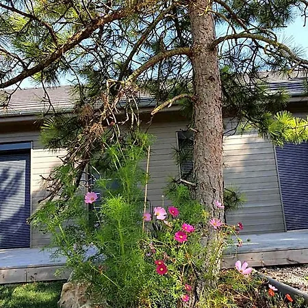 Cosy Wood House Bed & Breakfast