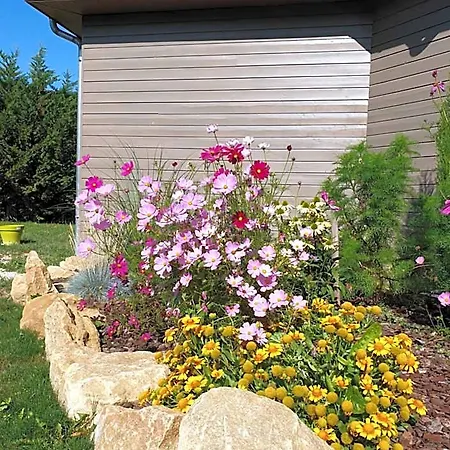 Bed & Breakfast Cosy Wood House Laubressel
