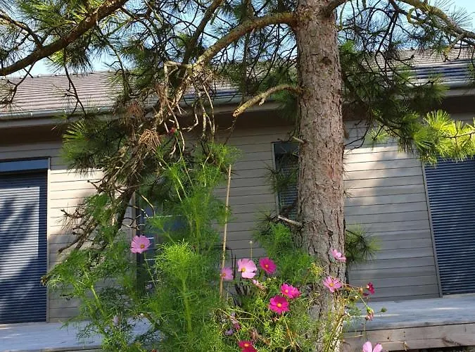 Cosy Wood House Bed & Breakfast 3*